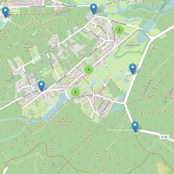 Karte der Parkplätze in Ludwigswinkel Thumbnail