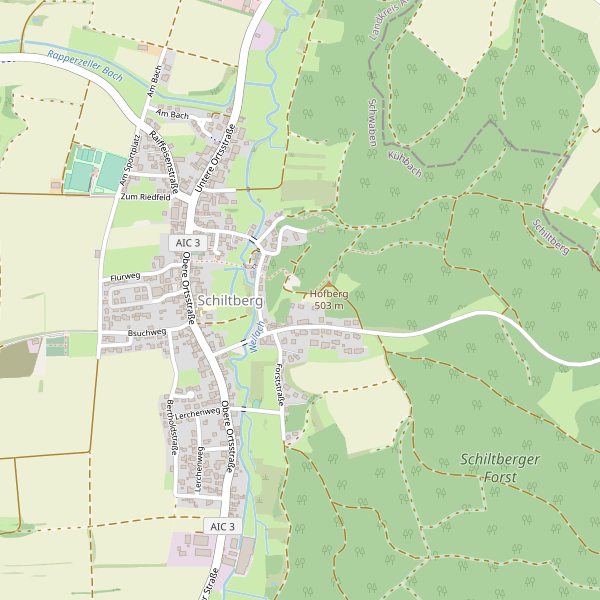 Stadtplan Schiltberg Thumbnail